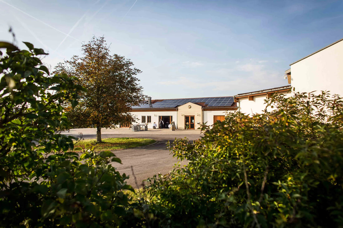 Weingut Dr. Heigel – Weine mit Qualität und Leidenschaft aus Unterfranken