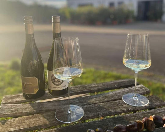 Falstaff ausgezeichnete deutsche Weine | Qualität aus besten Weinlagen