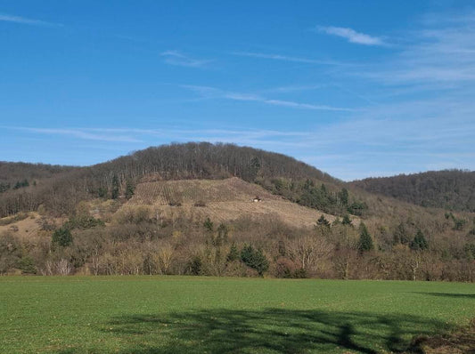 Die besten und wertvollsten deutschen Weinbergslagen