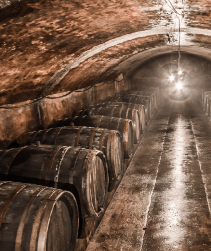 Wein lagern wie ein Profi: Der Weg zum perfekten Weinkeller