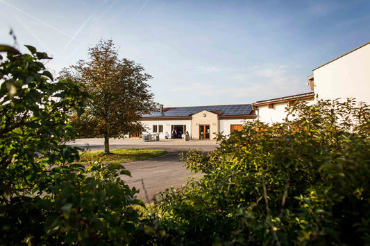 Weingut Dr. Heigel – Weine mit Qualität und Leidenschaft aus Unterfranken