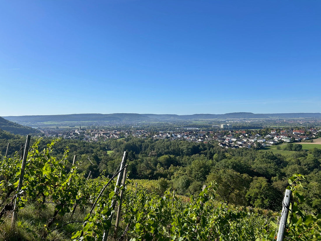 Die Vielfalt der Burgunder: Pinot Gris, Pinot Blanc und Pinot Noir aus Deutschland