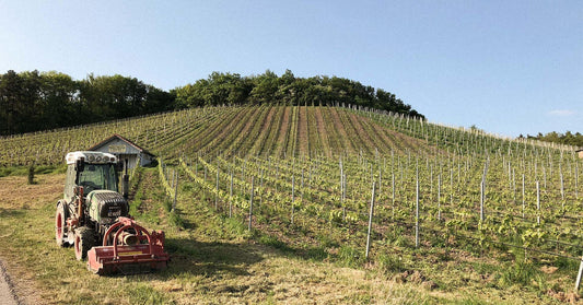 Zwei neue Spitzenweingüter bei Vinocom – Dr. Wagner & Markus Meier