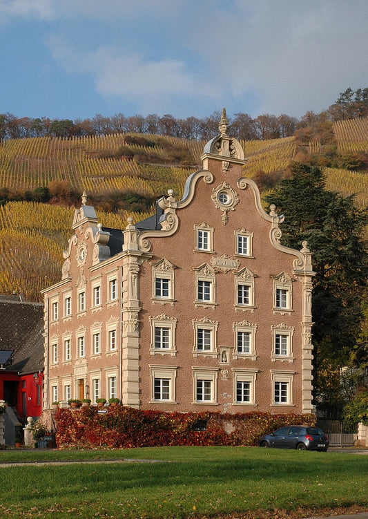 Blütezeit des Moselweins: Als Moselrieslinge die Weltspitze dominierten