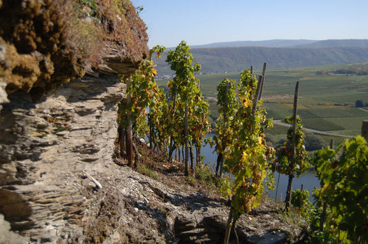 Die besten deutschen Weinlagen – Ein Überblick für Weinliebhaber