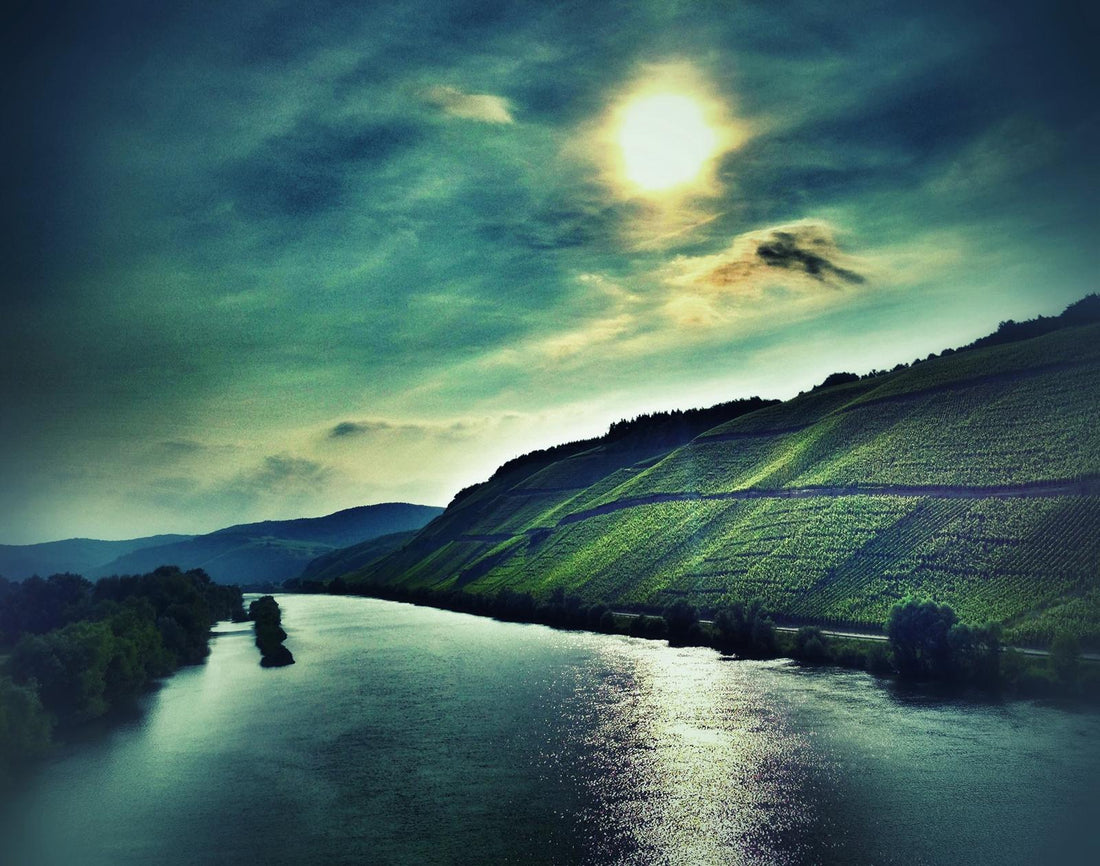 Porphyr im Weinbau: Das vulkanische Terroir der Nahe und sein Weinstil