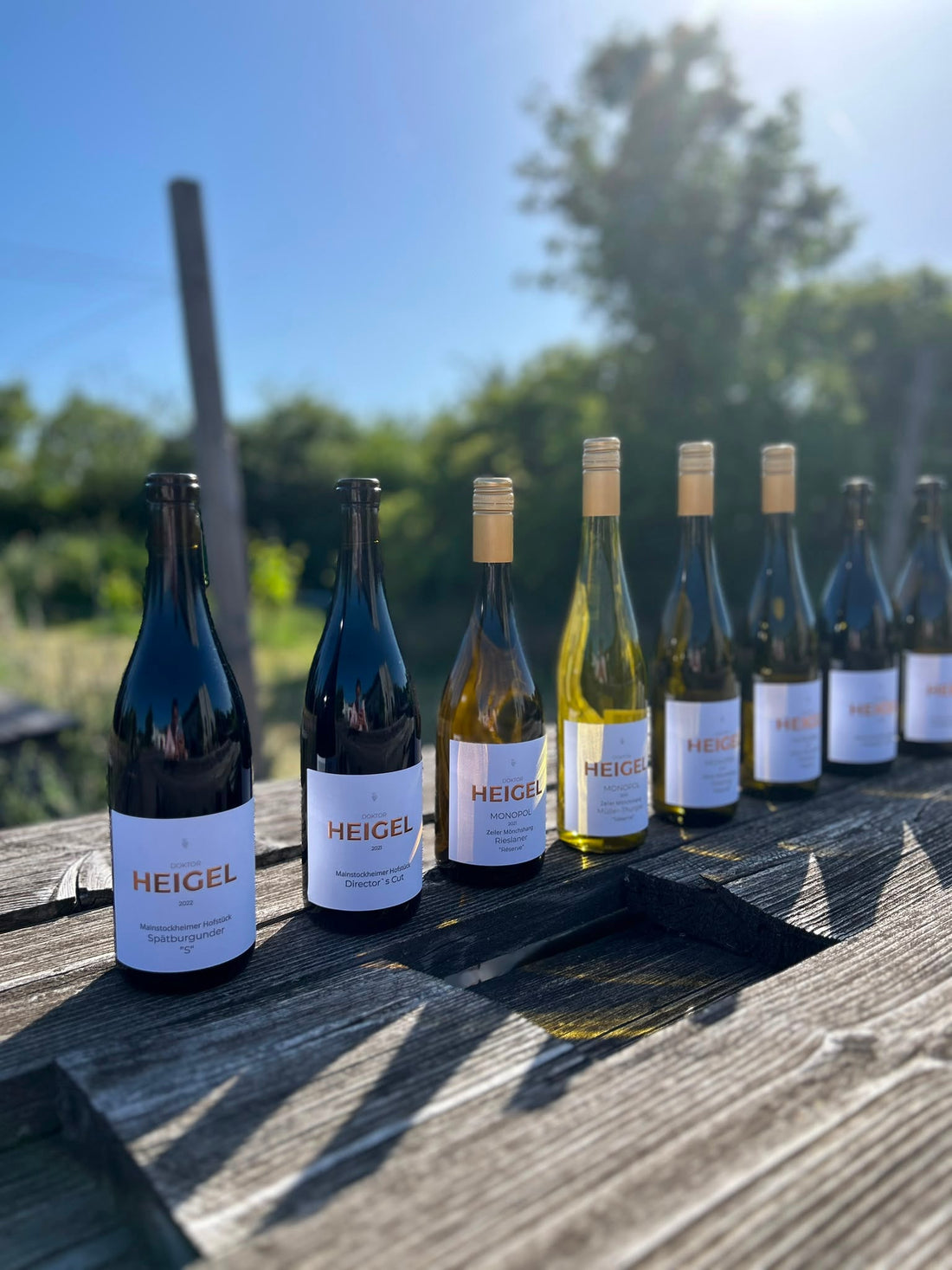 Frankenwein online kaufen: die besten Winzer direkt bestellen
