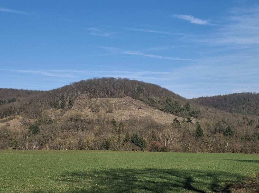 Die besten und wertvollsten deutschen Weinbergslagen