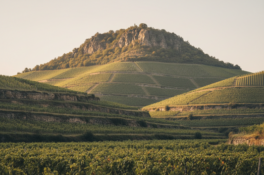 Gestufte Weinberglandschaft als Sinnbild für die VDP-Weinpyramide von Gutswein bis Große Lage