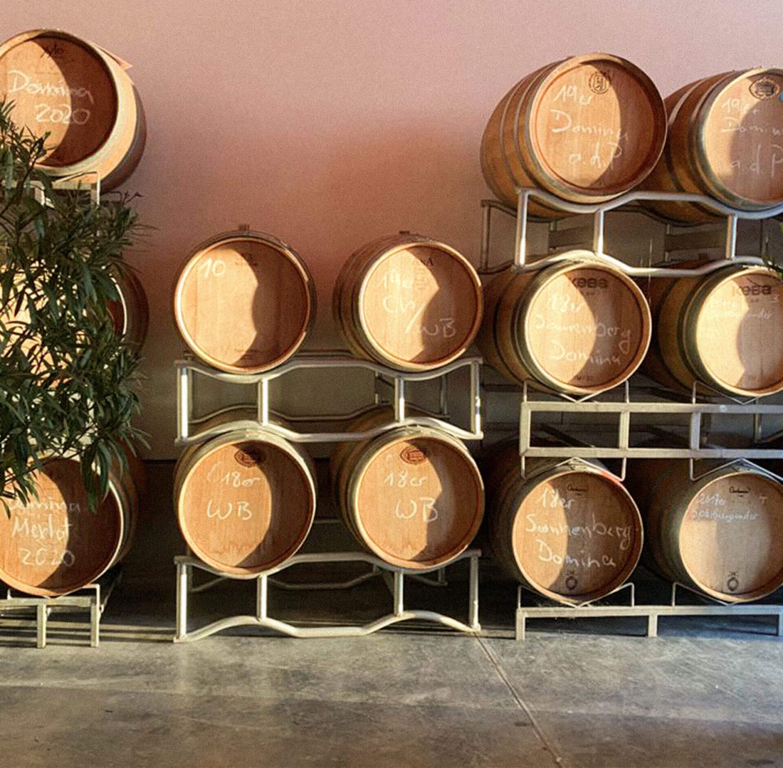 Rotwein kaufen – Vollmundige Rotweine aus Top-Weingütern