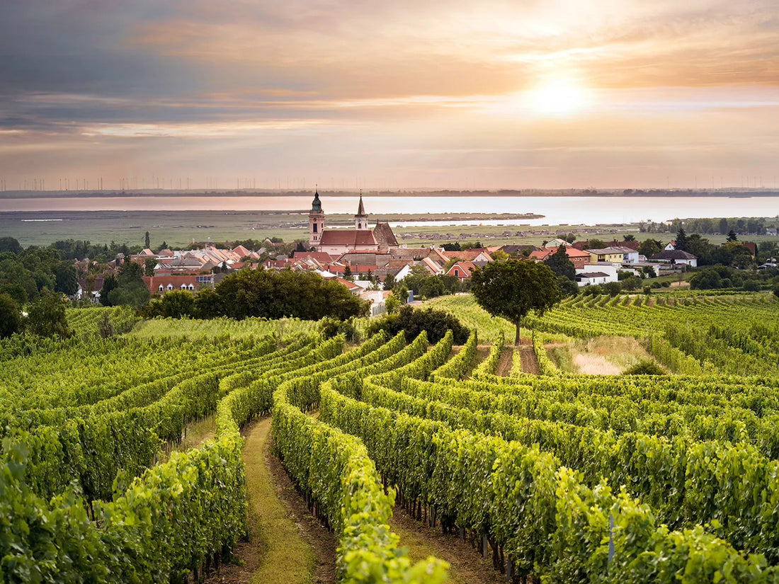 Wein Online Kaufen in Deutschland – Entdecken Sie Top-Weine aus deutschen Anbaugebieten