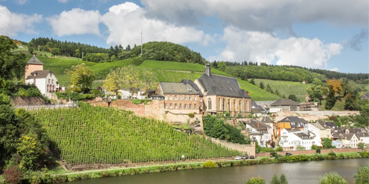 Spätburgunder bestellen – Deutschlands großer Rotwein-Klassiker