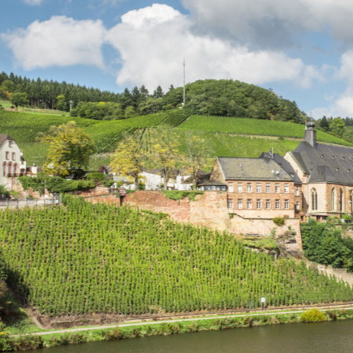 Wein aus Deutschland – Die besten Anbaugebiete & Lagen